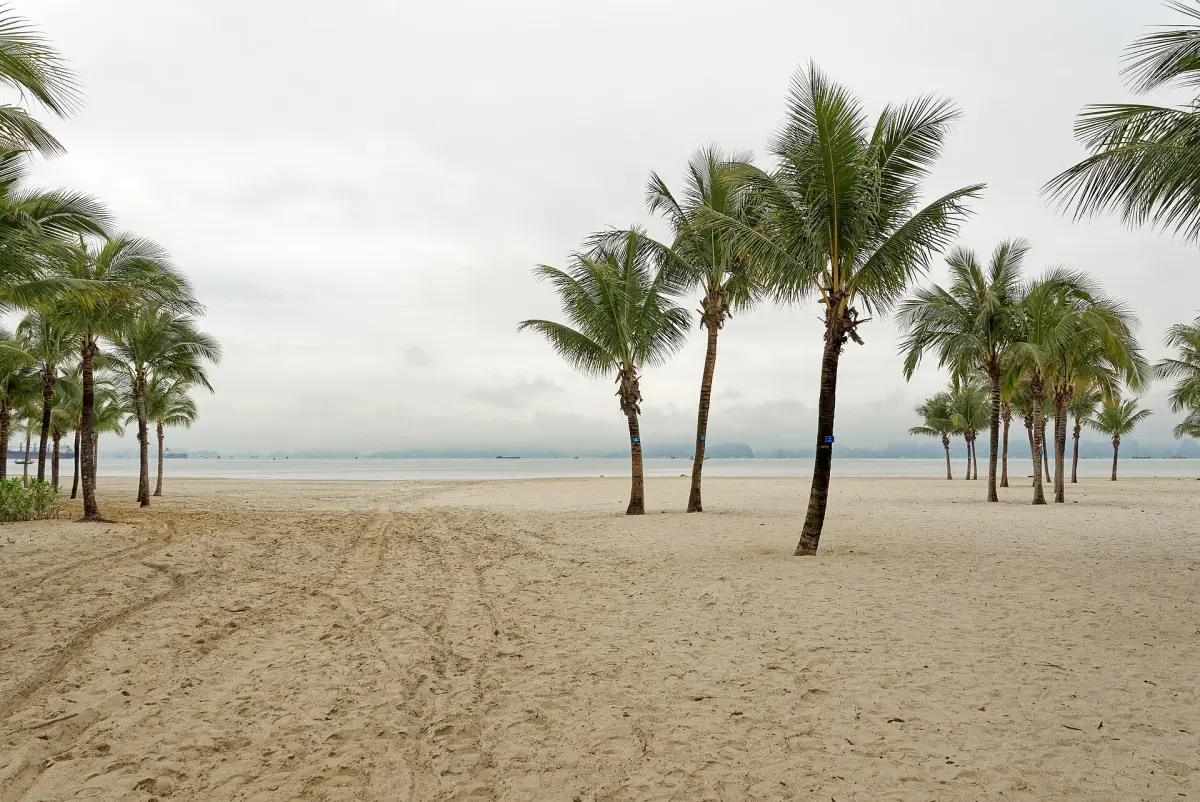 Palmen am Strand von Bai Chay